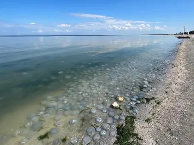 Пленительные моменты Азовского моря сегодня на фото