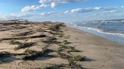 Фотк Азовского моря сегодня