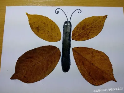 Бабочка из листьев: прекрасное фото для скачивания