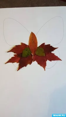 Бабочка из листьев: изысканное изображение в формате PNG