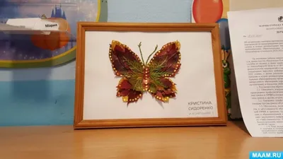 Великолепная бабочка из листьев на фотографии