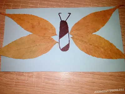 Изображение Бабочка из листьев в формате JPG