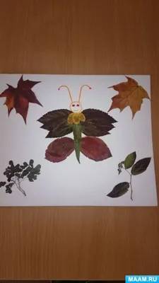 Фотка Бабочка из листьев: выберите желаемый размер
