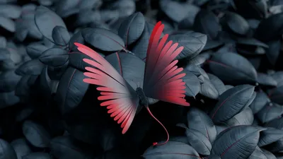 Бабочка из листьев: восхитительная картинка в формате WebP