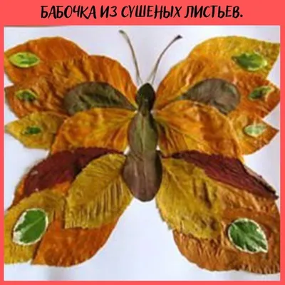 Фотография Бабочка из листьев: выберите предпочтительный формат для скачивания