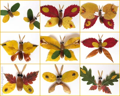 Картинка Бабочка из листьев: выберите подходящий размер