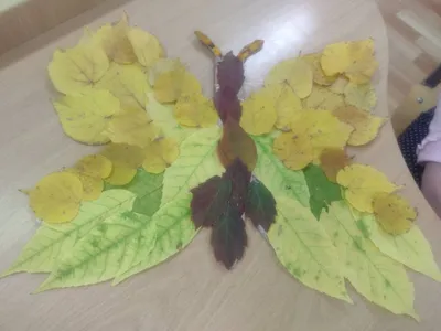 Бабочка из листьев фотографии