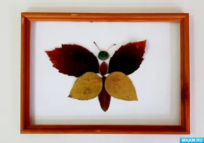 Фотка Бабочка из листьев: натуральная прелесть природы
