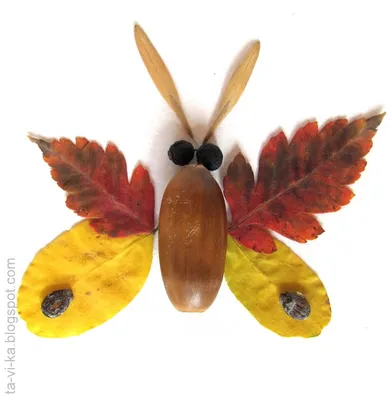Бабочка из листьев: красота, запечатленная в изображении