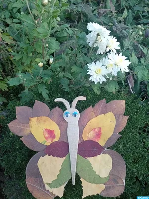 Фотка Бабочка из листьев в формате WebP: наслаждайтесь ее красотой