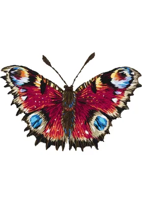 Фотка бабочки королек в формате WebP с возможностью изменения размера и выбором формата