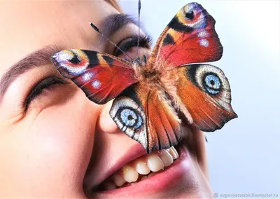 Фотография бабочки королек с возможностью выбора размера, формата и сохранения для использования в проекте