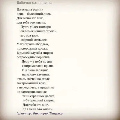 Изображение бабочки однодневки, призывающий к исследованию природы