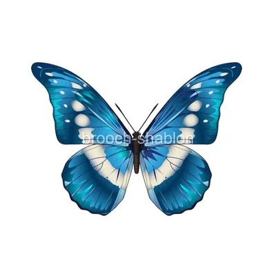 Фото синей бабочки, идеальное для блога о природе