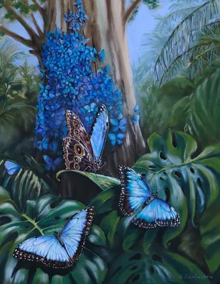 Фото синей бабочки, восхищающей своими крыльями