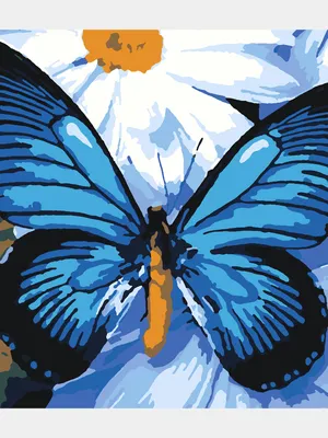 Удивительное фото синей бабочки в WebP формате