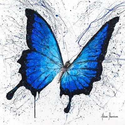 Изображение синей бабочки для использования в исследованиях