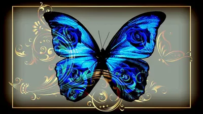 Фотка синей бабочки в стиле фэнтези
