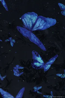 Фотка синей бабочки в формате JPG, подходящая для использования в блоге