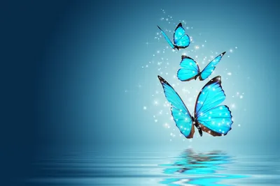 Уникальное изображение синей бабочки в формате JPG