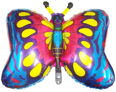 Фото синей бабочки в пленительном разрешении