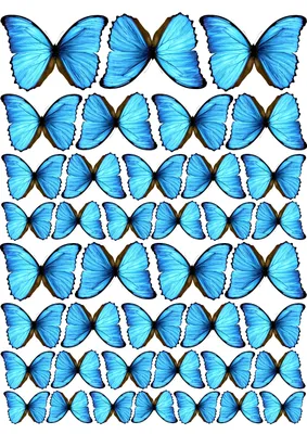 Фотография синей бабочки, создающая атмосферу загадочности