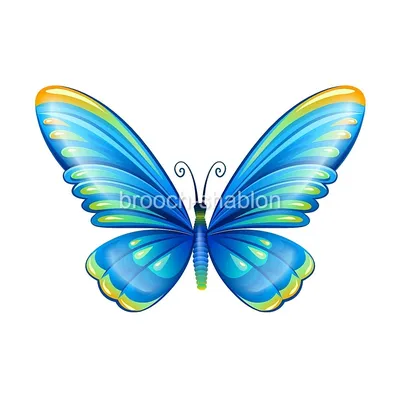 Фотка синей бабочки - красочный снимок для коллекции
