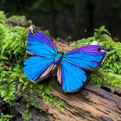 Фото синей бабочки с натуральным освещением
