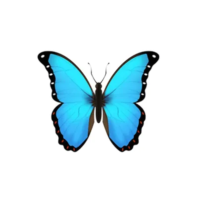 Фотография редкой синей бабочки