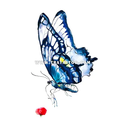 Фотка синей бабочки в различных размерах для дизайнеров