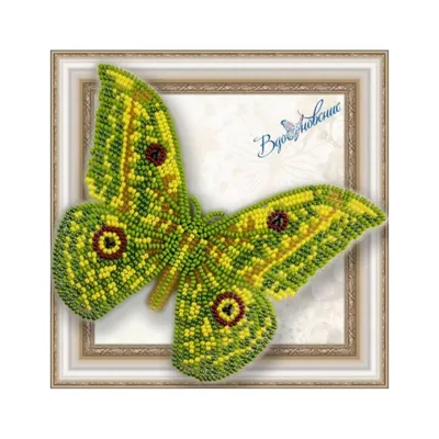 Яркие фотографии бабочек из бисера для скачивания