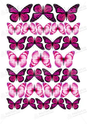 Бумажные бабочки: загрузки фото в разных форматах