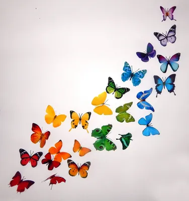 Фото бумажных бабочек: бесплатные скачивания с разными форматами