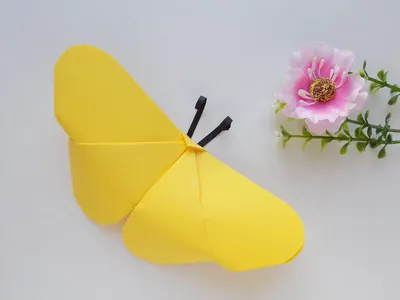 Изображения бумажных бабочек: выбирайте предпочитаемый размер и формат