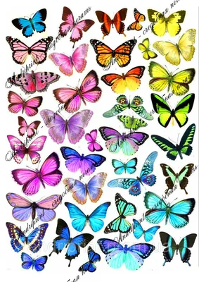 Изображения бумажных бабочек: легко найти нужный формат для скачивания