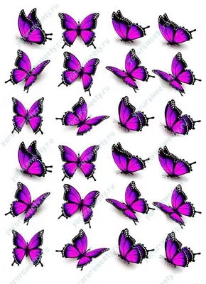Уникальные фотографии бумажных бабочек: выберите формат для загрузки