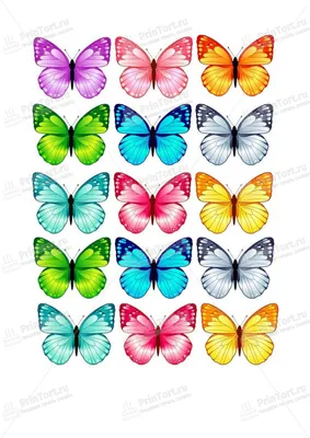 Бумажные бабочки: красивые изображения для скачивания