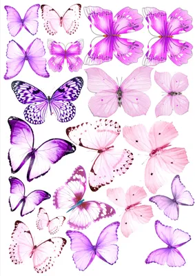 Фото, картинка и изображение - бабочки из бумаги в разных форматах