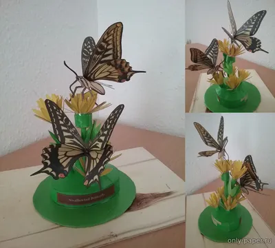 Фото бумажных бабочек: бесплатные загрузки с разным выбором форматов