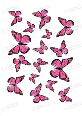 Бабочки из бумаги: коллекция красивых изображений с возможностью выбора формата