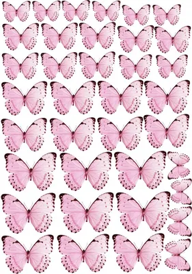 Бабочки из бумаги: коллекция красивых изображений с различными форматами 