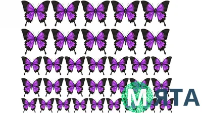 Фото, изображение и фотография - бабочки из бумаги в разных форматах