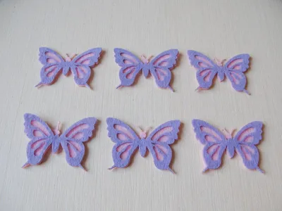Фото бабочек из фетра: погружение в мир цветов и оттенков