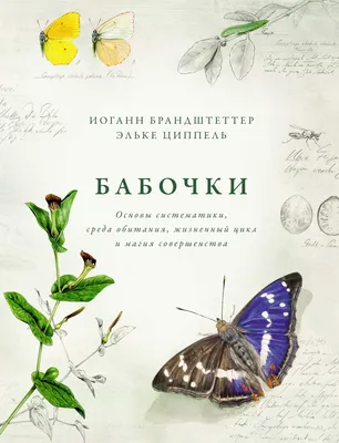 Бабочки из пластиковых бутылок - коллекция изображений для вашего проекта