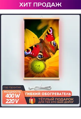 Бабочки Крыма на фотографиях: скачать бесплатно в любом формате