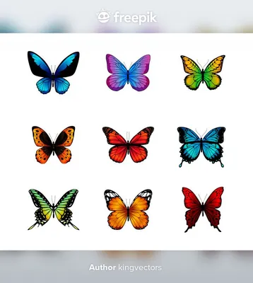 Фото бабочек на белом фоне, размером 1280x800, в формате WebP