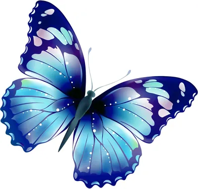 Изображение бабочек: фото на белом фоне, формат WebP