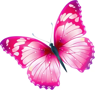 Бабочки на белом фоне, разрешение 1280x800, доступны для скачивания в формате WebP
