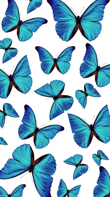Фотография бабочек на белом фоне, формат JPG