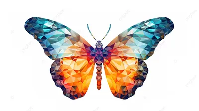 Картинка с бабочками: фотография в формате WebP